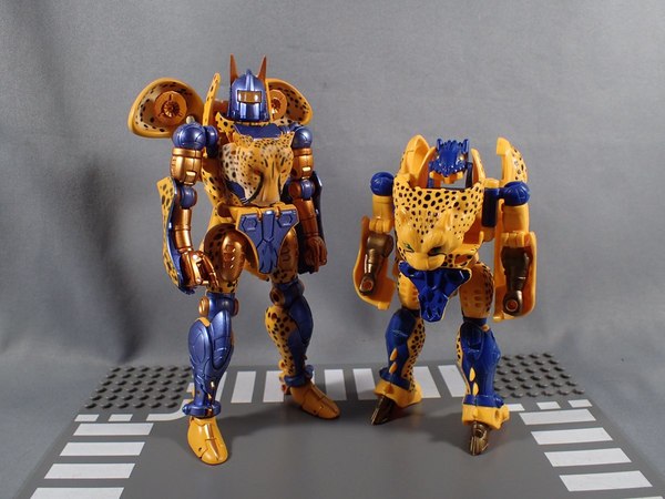 Masterpiece Cheetor Side By Side Comparison Photos   Original Toy MP Optimus Primal 10 (10 of 10)